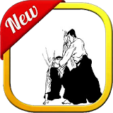 Aikido Technique icon