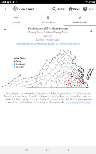 Screenshot of Flora of Virginia