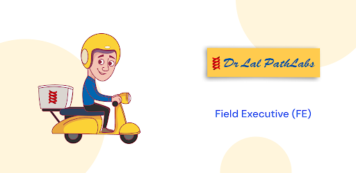 DLPL Logistics FE