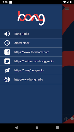 Bong Radio Screen 2