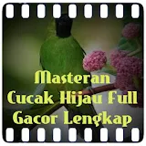 Masteran Cucak Hijau Ful Gacor icon