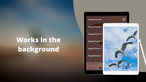 Seagulls Sounds Screenshot