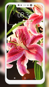 Screenshot 5 Lily Wallpaper android