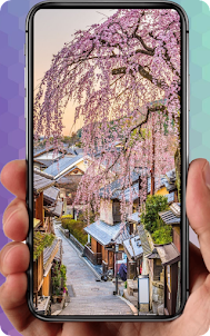 Sakura Wallpaper Aesthetic