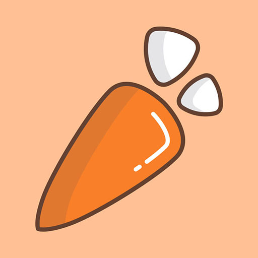 Carrot - Orange icon pack  Icon