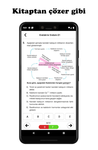 11.Sınıf Tüm Dersler ekran görüntüsü