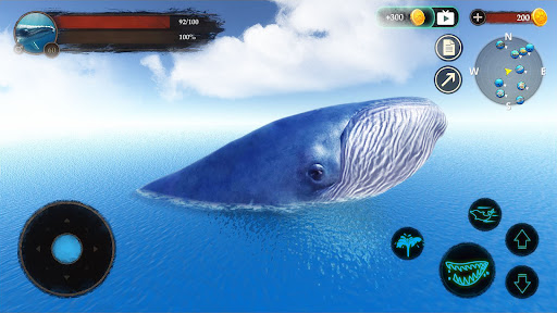 The Blue Whale Apk by Wild Life wikiapk com