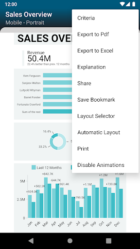 TARGIT Decision Suite Screen 3