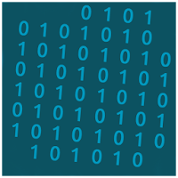 Binaryum