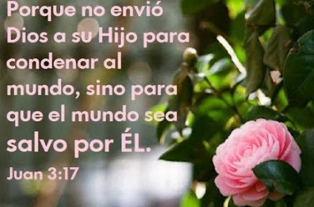 Flores con frases cristianas - Apps on Google Play