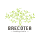 Brecotea Download on Windows