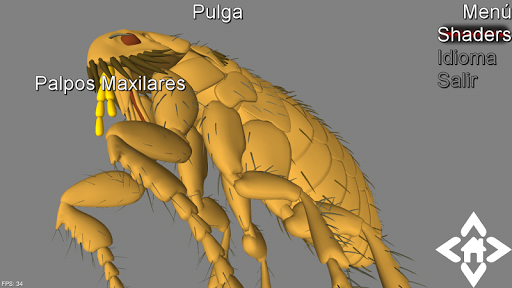3D Flea Explorer Screen 3