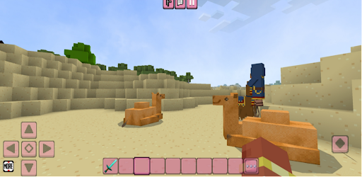 Bloxx Craft Girl Screen 2