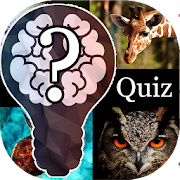 Animal Quiz - guess the animal