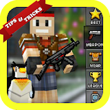Tips Pixel Gun 3D icon