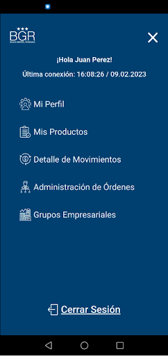 BGR Empresas Screen 2