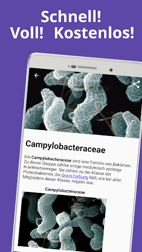 App-Vorschau