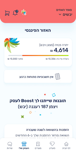 שטראוס BOOST Screen 2