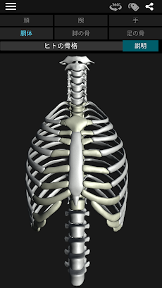 3D人骨（解剖学）のおすすめ画像3