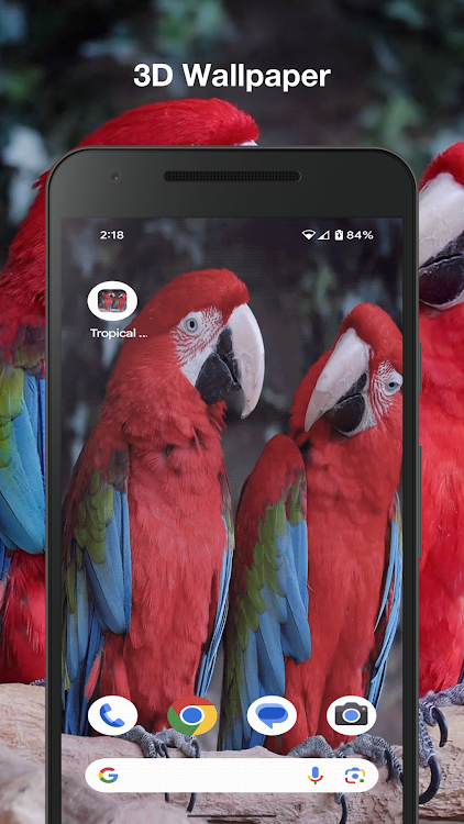 Tropical Birds Live Wallpaper - 1.7 - (Android)