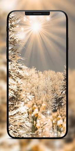 SW Winter Wallpapers