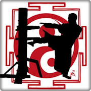 Top 12 Sports Apps Like wing chun - Best Alternatives