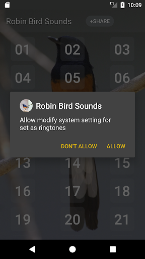 Robin bird sounds Screen 3