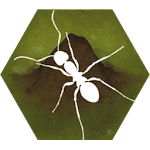 Cover Image of 下载 Finally Ants  APK