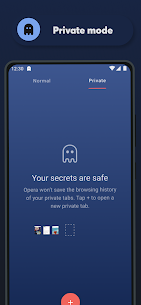 Opera browser beta with VPN 6