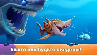 Game screenshot Hungry Shark Evolution: акула mod apk