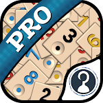 Cover Image of Download Okey Pro  APK