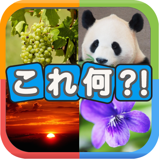 写真から連想！クイズこれ何？ logo