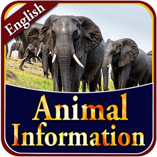 Animal Information in English - Ứng dụng trên Google Play