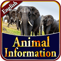 Animal Information in English