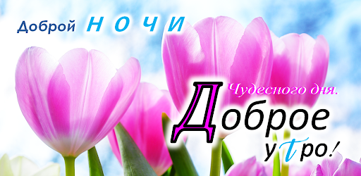 Morning Afternoon Night Ru