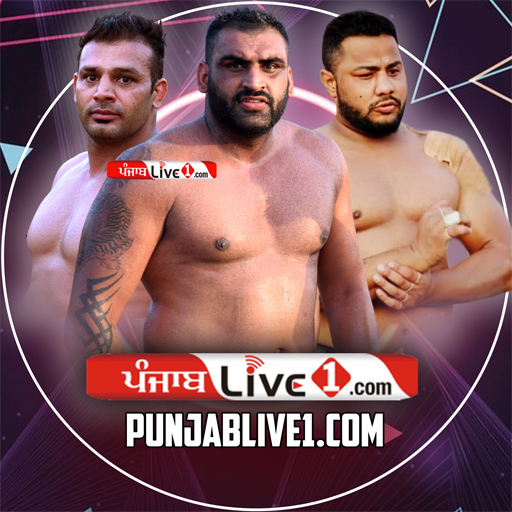 PunjabLive1 - AppWisp.com