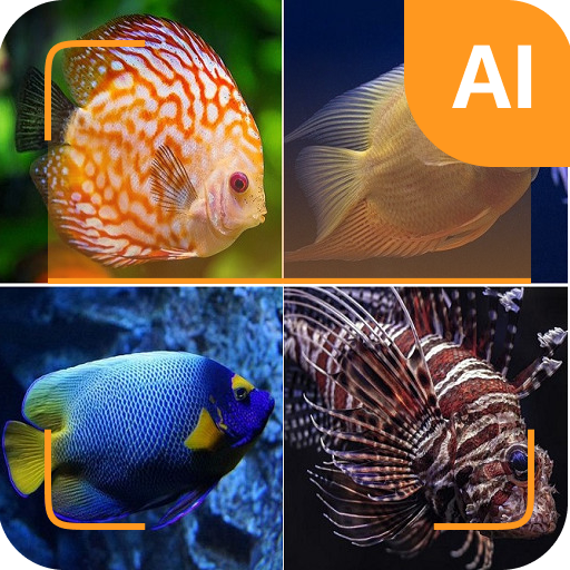 Fish identifier