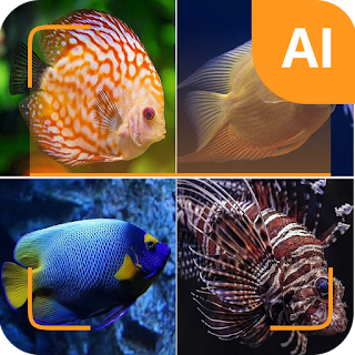 Fish identifier