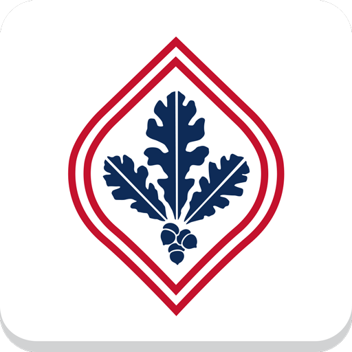 Logo Mysrjcapp