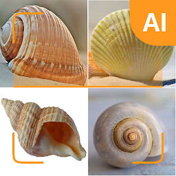 Icon image Shell identifier
