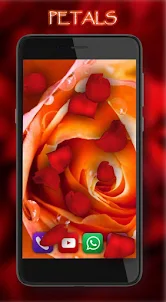 Roses Drops Live Wallpaper
