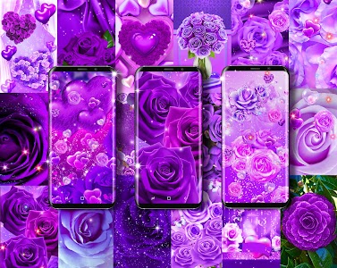 Purple rose live wallpaper Unknown