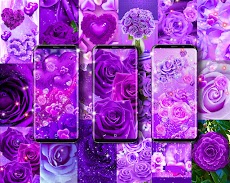 Purple rose live wallpaperのおすすめ画像1