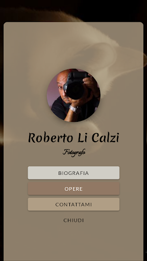 Roberto Li Calzi Screen 2