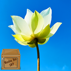 lotus flower wallpaper App Store Data & Revenue, Download Estimates on Play  Store