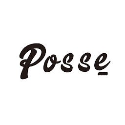图标图片“Posse”