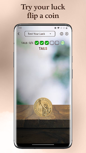 Coin Toss Heads or Tails Screen 3