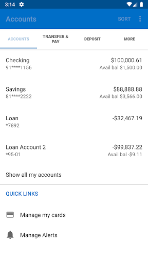 Intracoastal Bank Screen 3