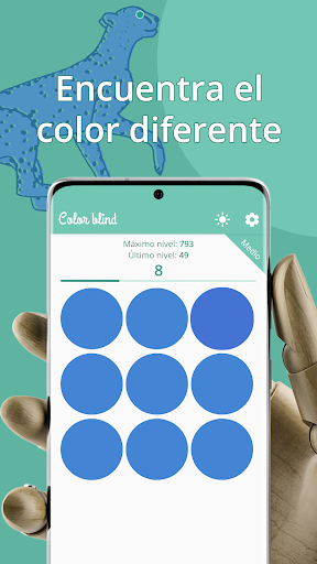 Vista previa de la aplicación