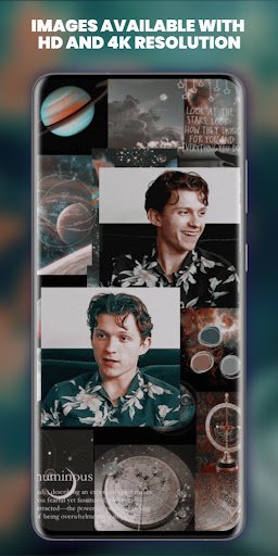 Tom Holland Wallpaper